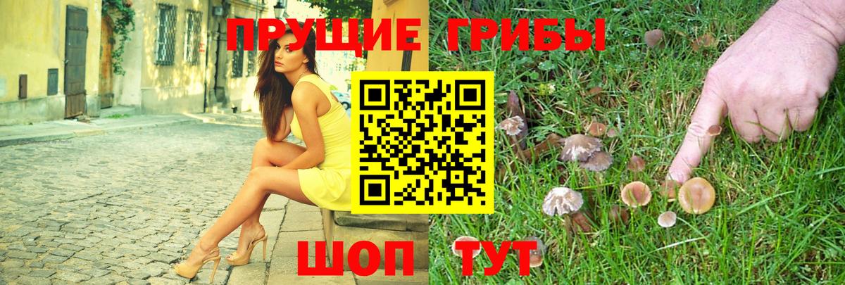 Галлюциногенные грибы GOLDEN TEACHER  Вход с VPN  Советск 